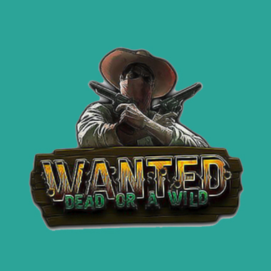 Wanted Dead Or A Wild
